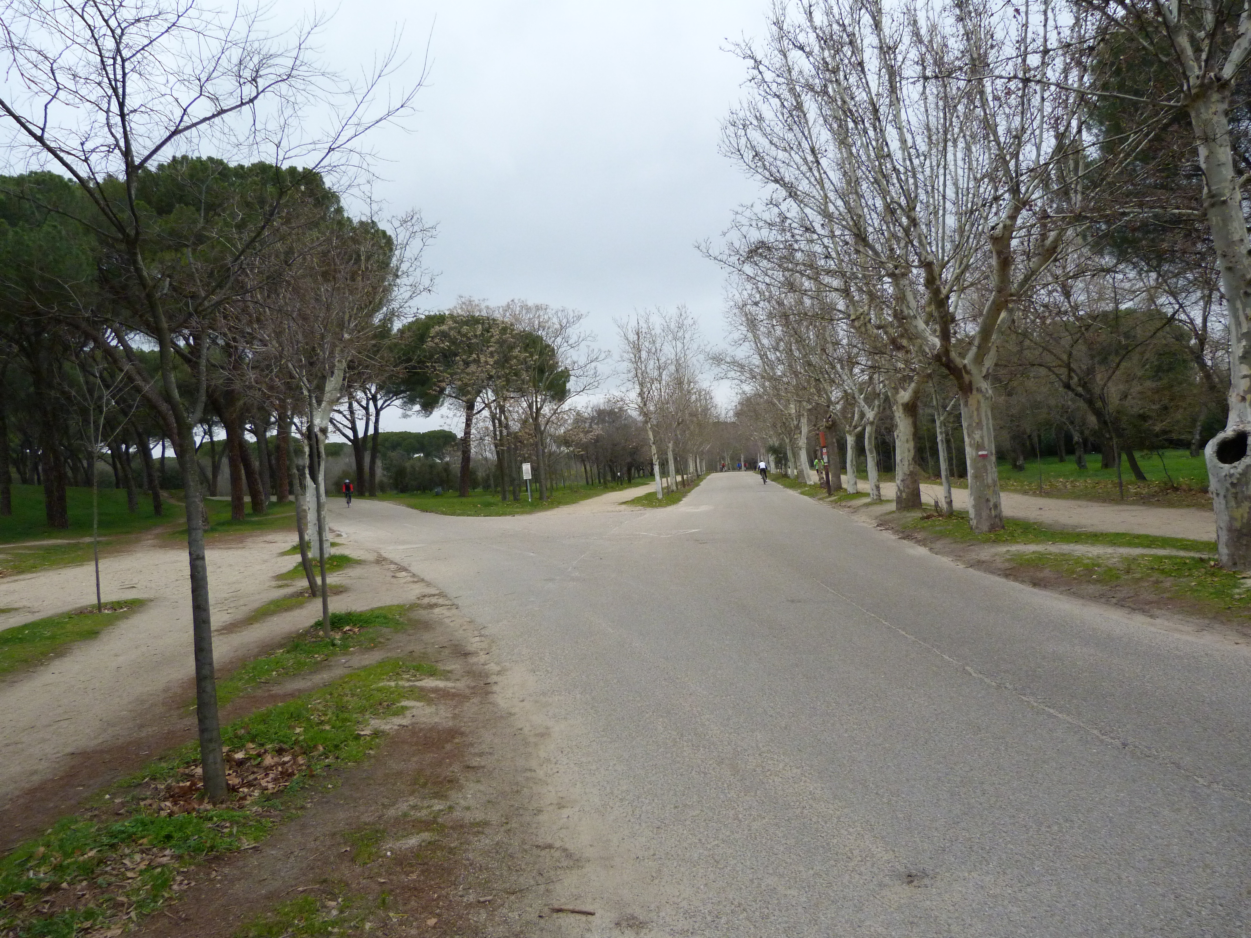 Curva de la Muerte en la Casa de Campo